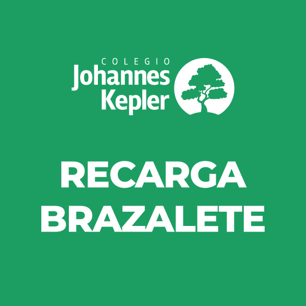 Recarga Brazalete